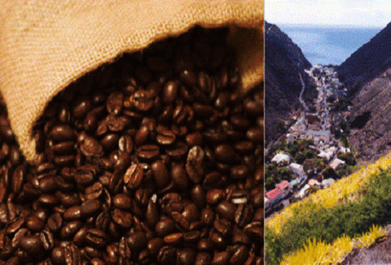 st-helena-coffee-company-island